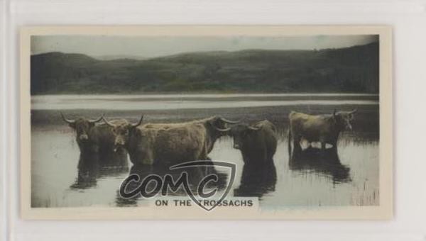 1933 De Reszke The Homeland Series Tobacco Hand-Coloured Small On Trossachs 0t2