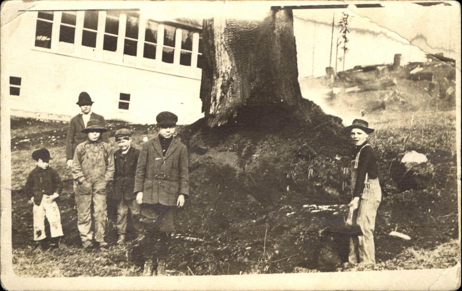 Boys clearing land? RPPC real photo AZO 1904-1918 ~ MYSTIC written on back