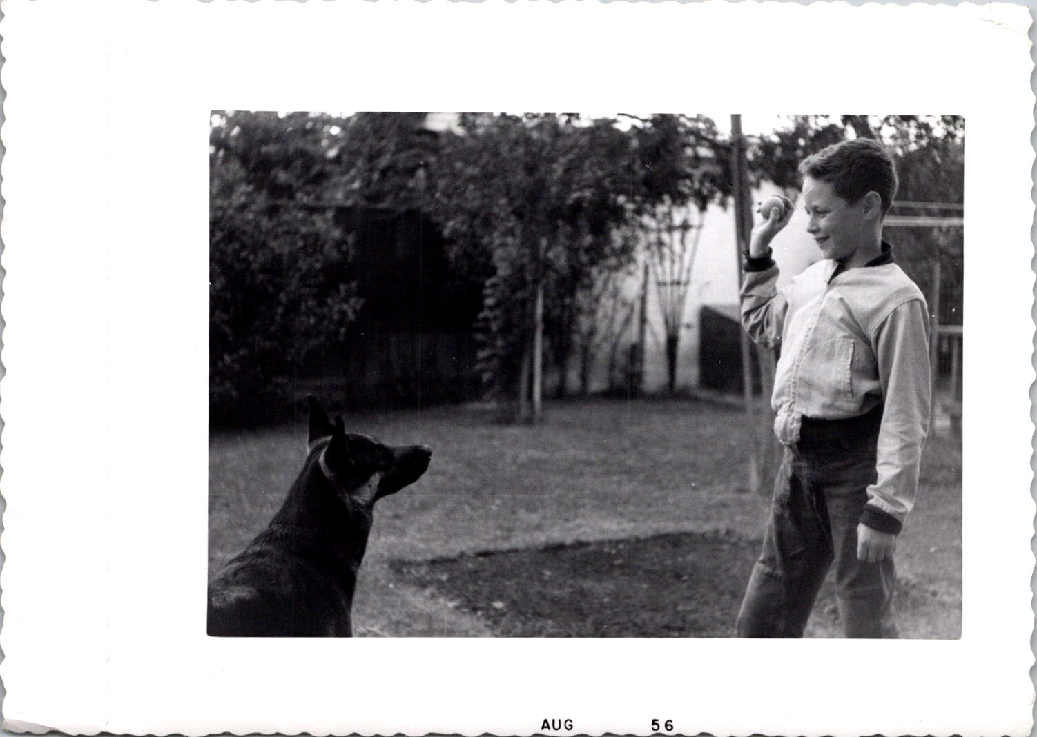 Boy Playing Fetch with Dog in Backyard, 1956 B&W Snapshot Photo Boy Playing Fetch with Dog in Backyard, 1956 B&W Snapshot Photo