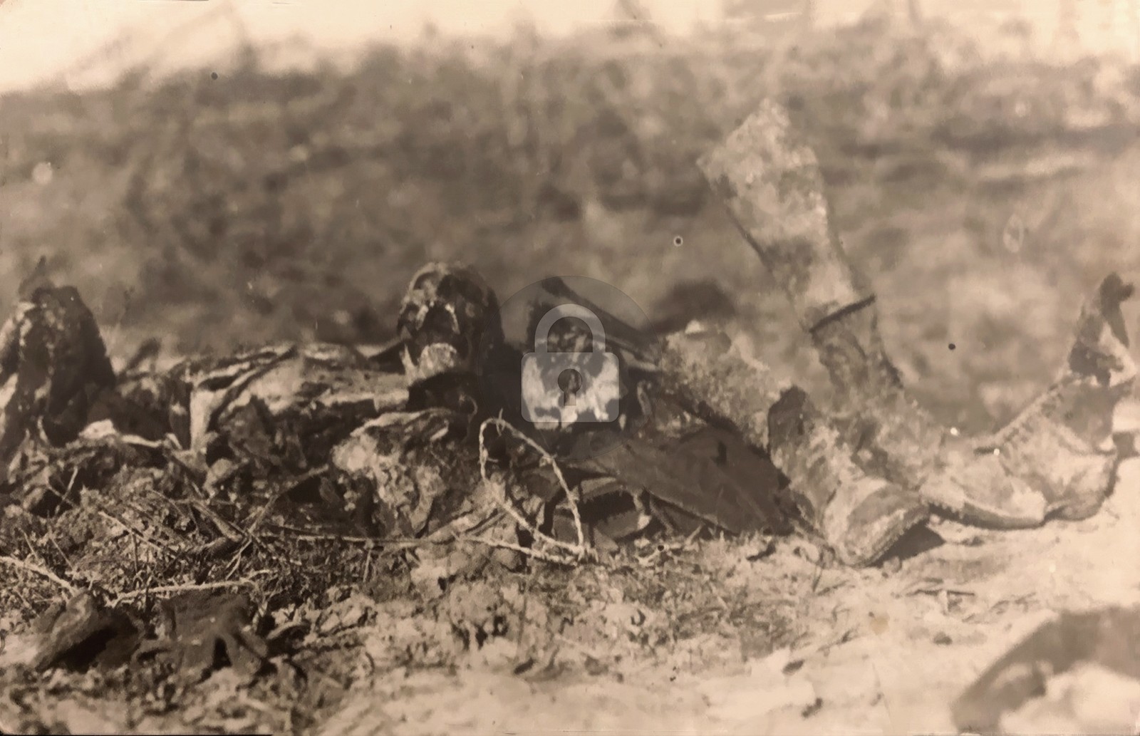 c1917 Dead Body Human Skull Barbed Wire Macabre WW1 Soldier RPPC Postcard COPY
