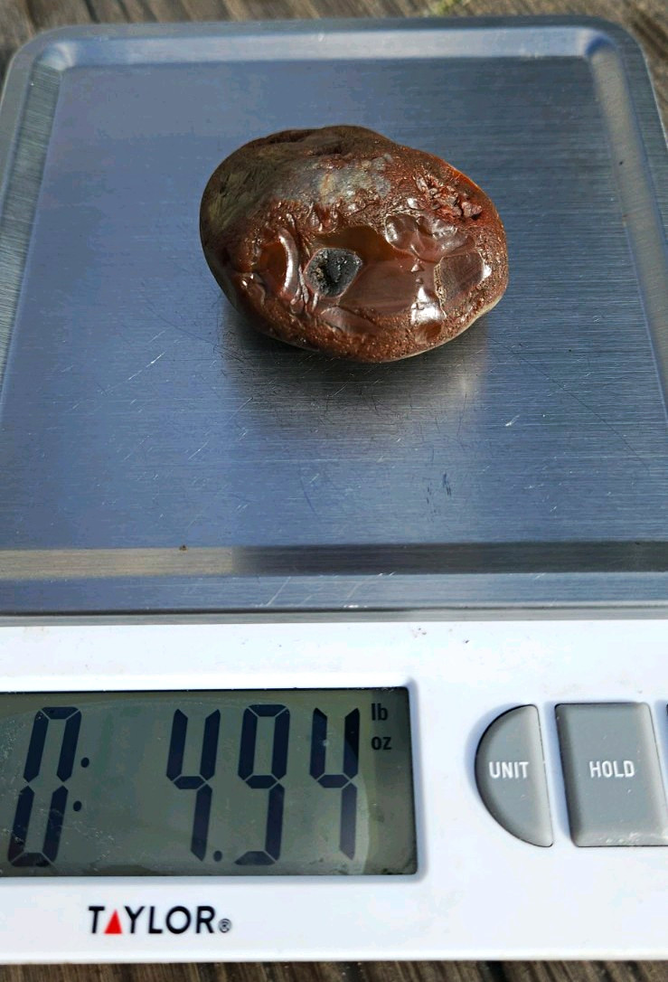 Lake Superior Agate Red Brown Banded Nodule  4.95 oz