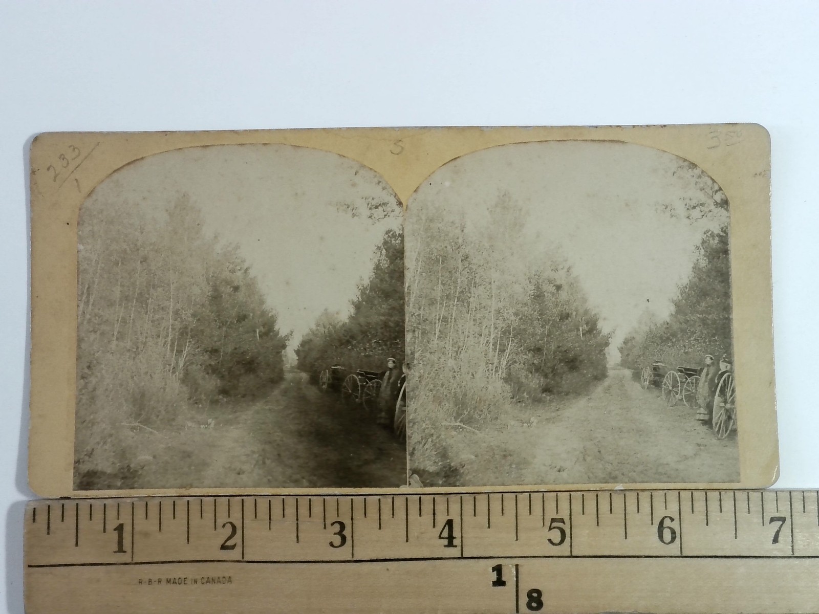 Josie Langmaid Murder Scene Stereoview C.M. Couch Concord NH 1875 True Crime