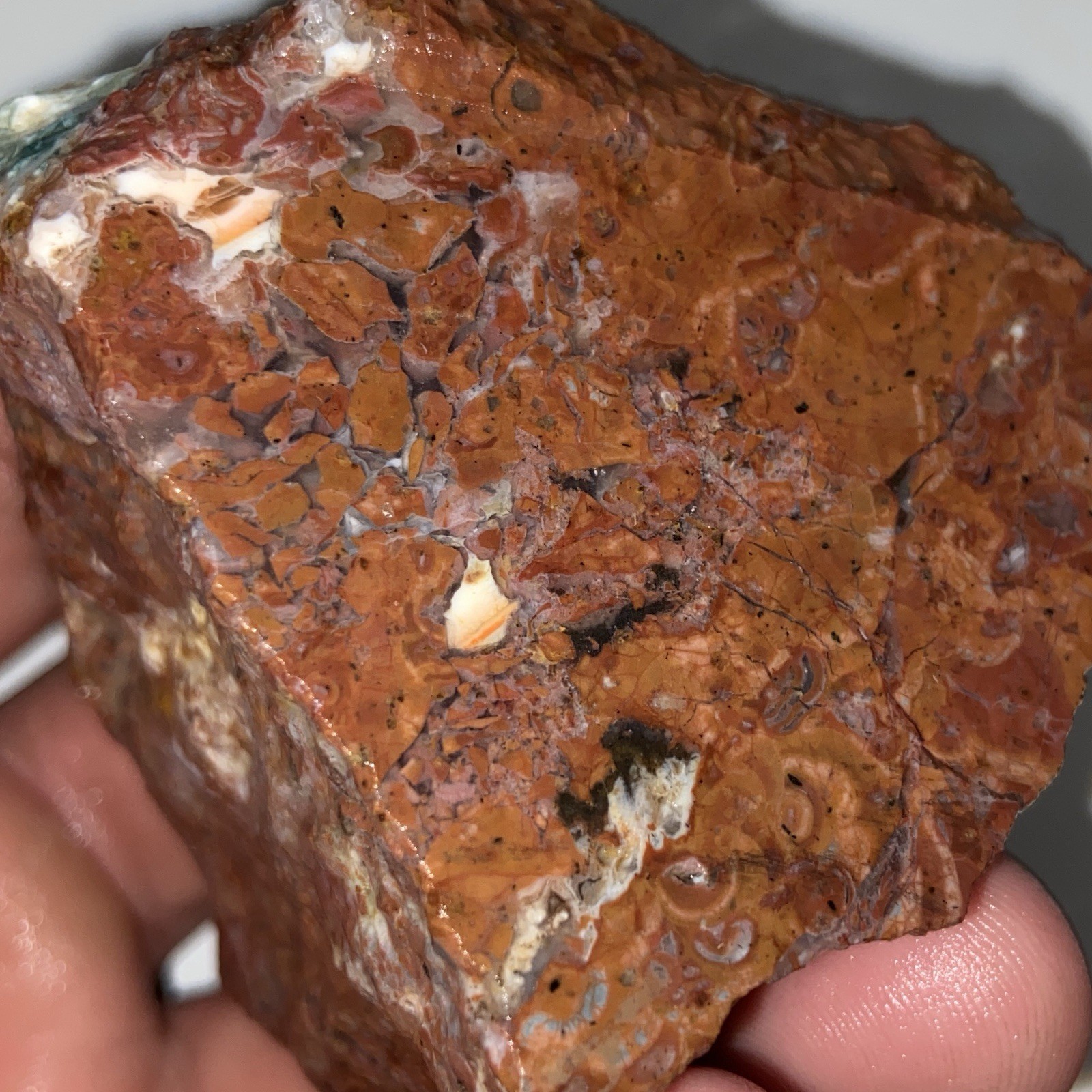 Unique Brecciated Jasper Agate Rough Cabbing Stone 6.70 Oz