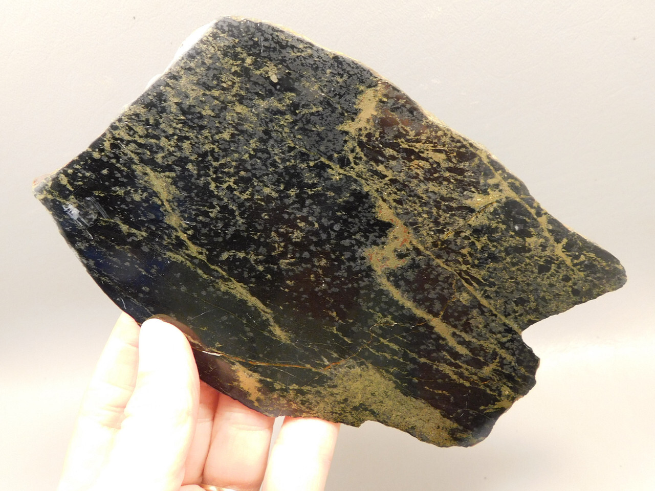 Apache Gold Polished Stone Slab Black and Gold Rock Jerome Arizona #O5