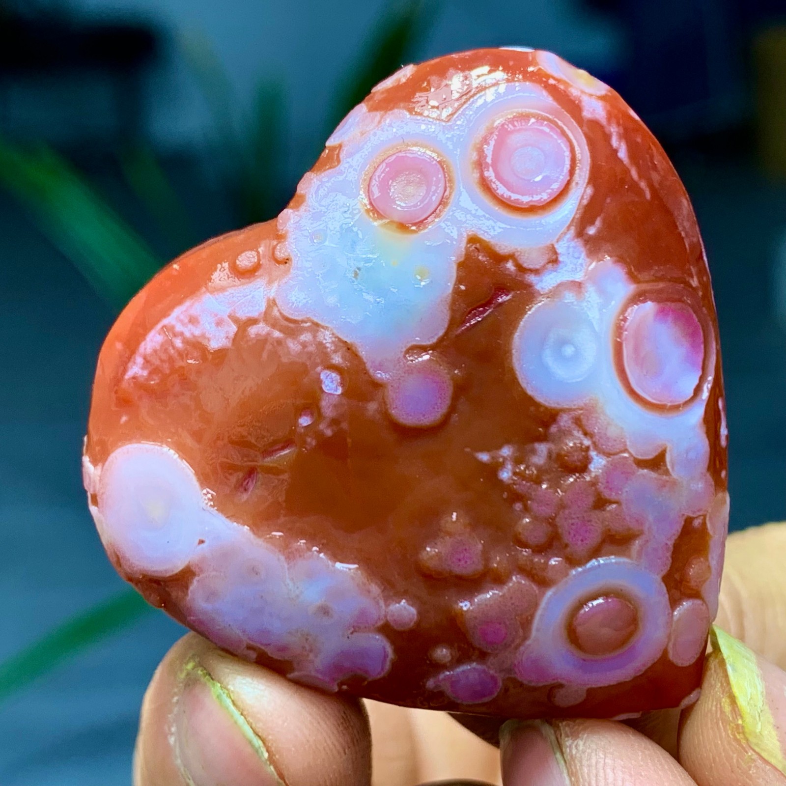 27G Rare Natural Gobi Agate eye Raw Stone/Crystal Palm Stone Madagascar