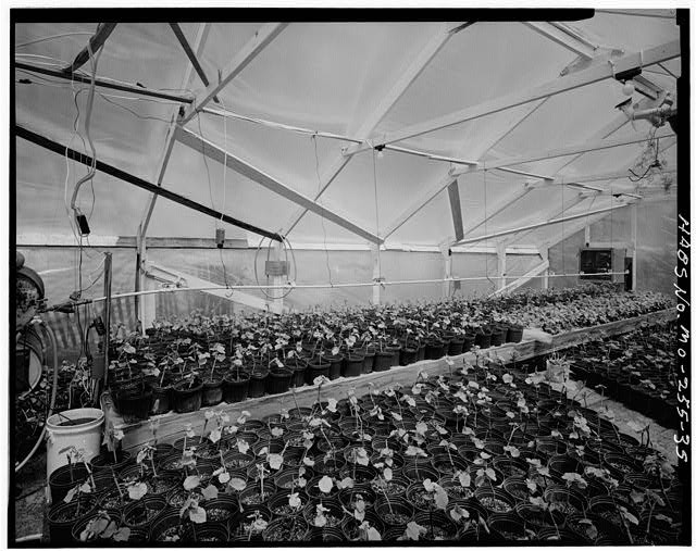 Photo:Hermann Missouri Stone Hill Winery Grape Seeding Greenhouse 1983
