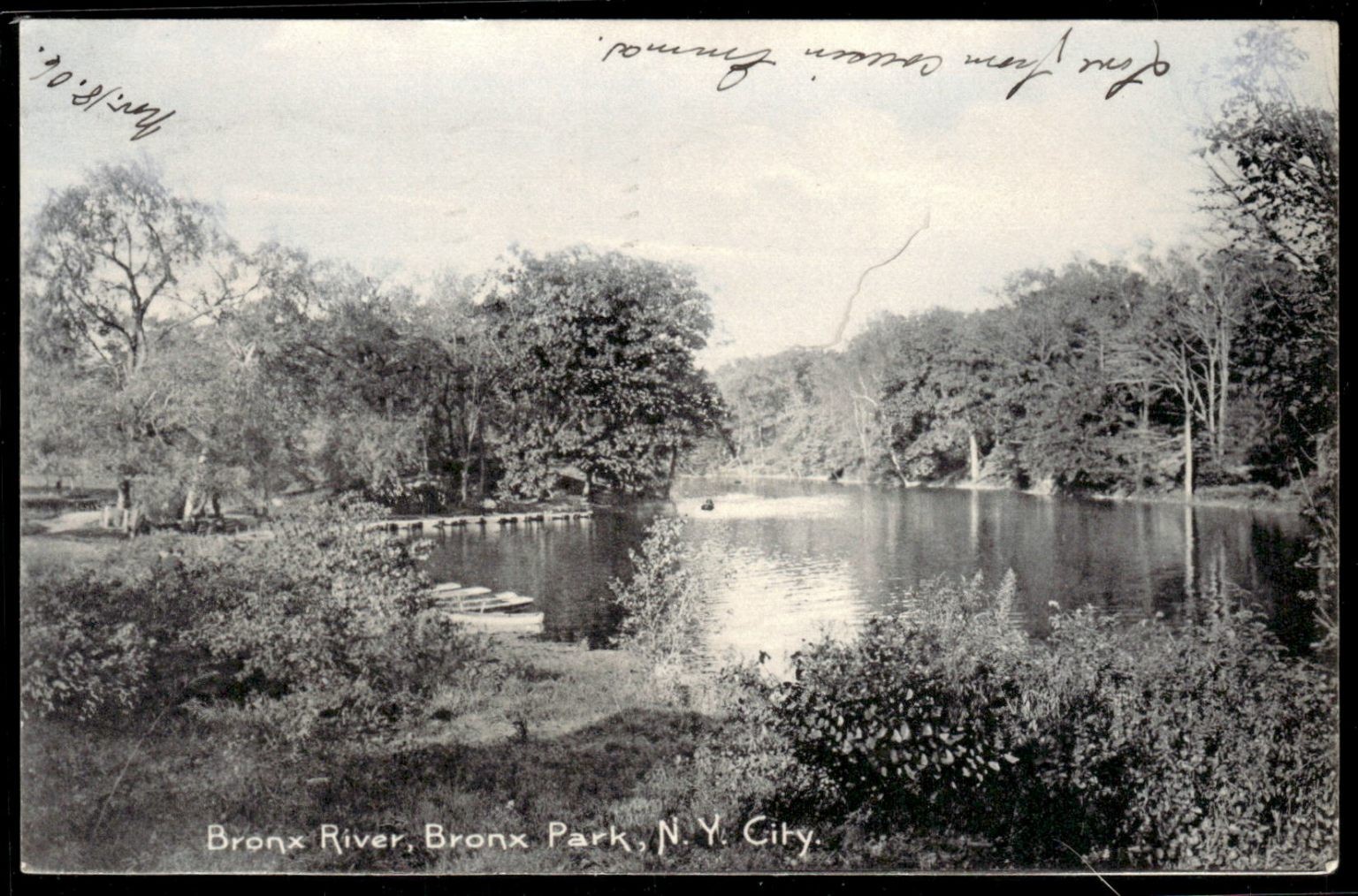 Bronx River Bronx Park NYC 1906 Rotograph Postcard Posted