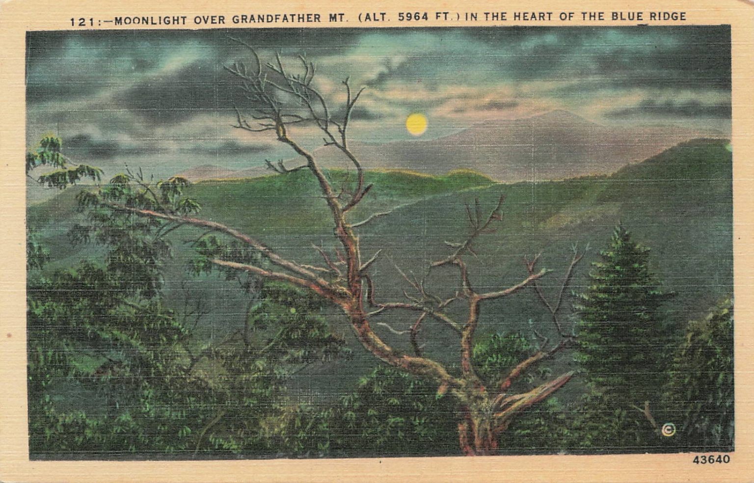 Moonlight Over Grandfather Mt. Blue Ridge Parkway Linen Postcard NC