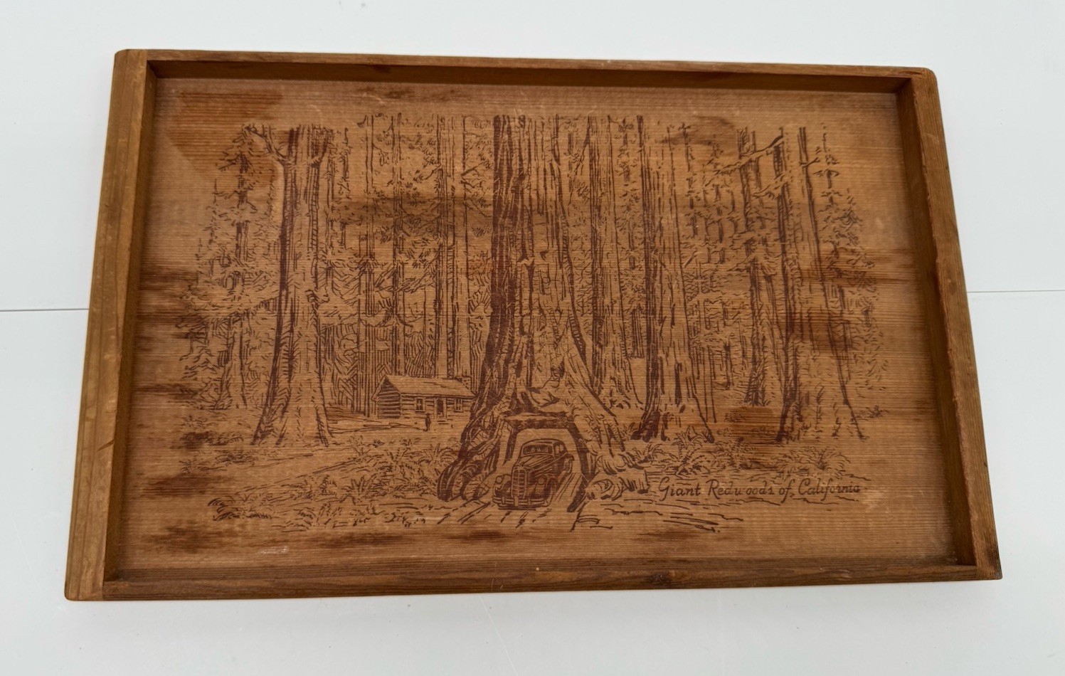 Vntg Tray CA Redwood Souvenir  Wood Burn Etching Tourist Collectible RARE