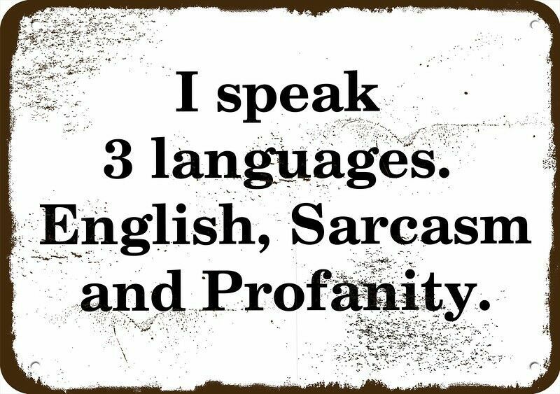I speak 3 languages English Sarcasm Profanity Vintage-Look DECORATIVE METAL SIGN