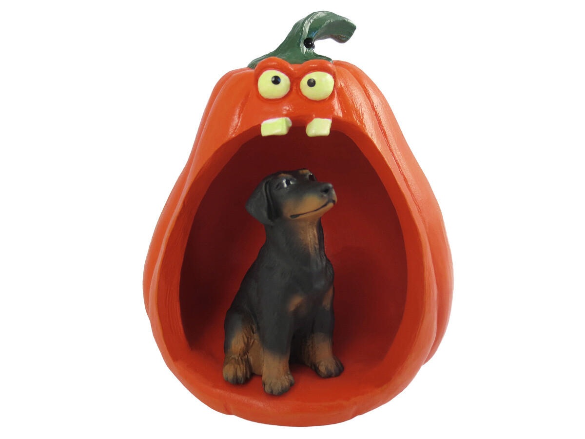 Doberman Pinscher Black w/Uncropped Ears Halloween Figurine and Spooky Pumpkin