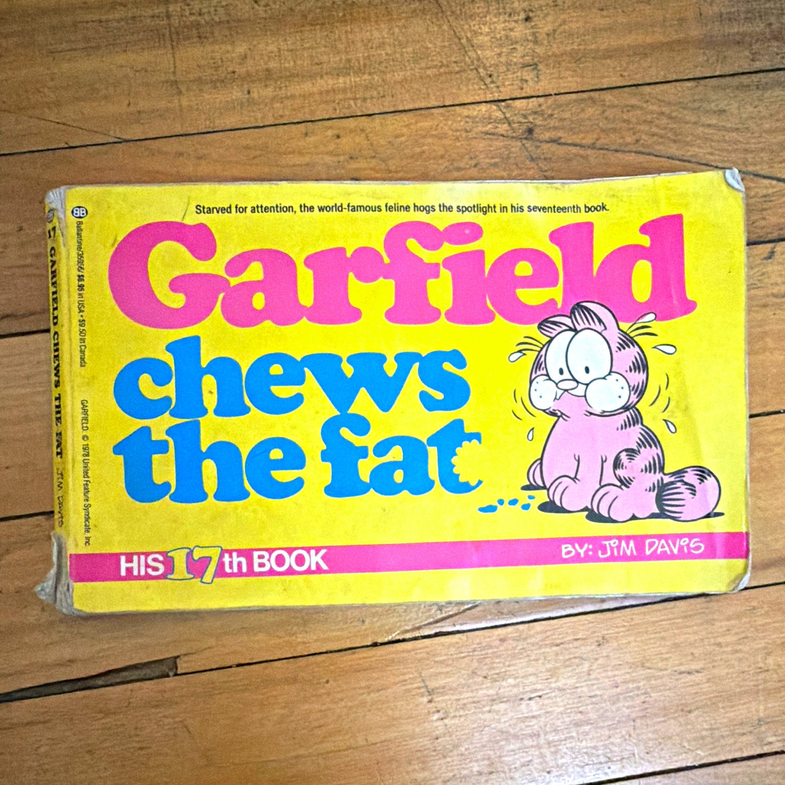 Jim Davis Garfield Chews the Fat #17 Trade Paperback First Printing 1989