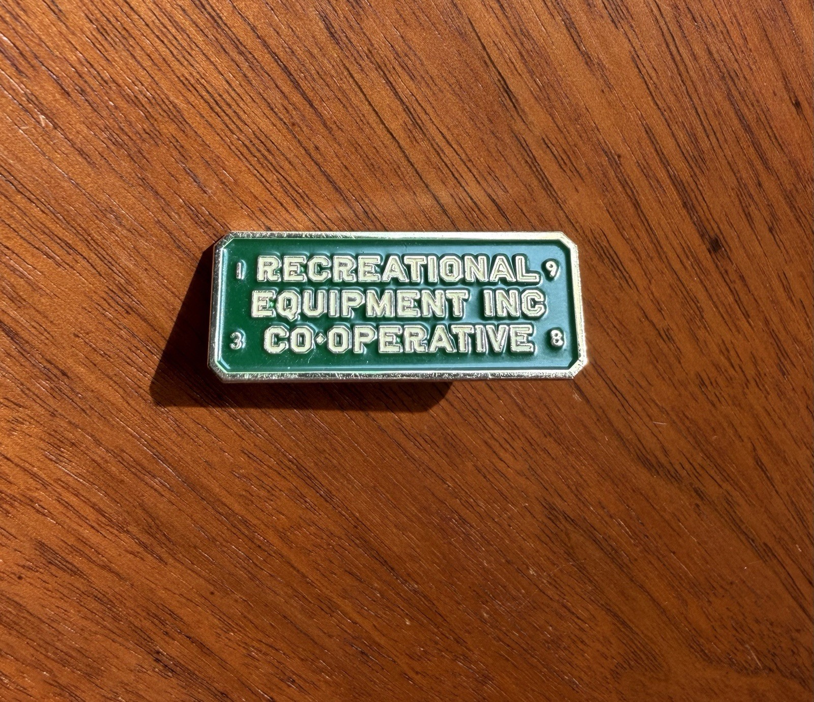 Vintage REI Pin Vintage REI Pin