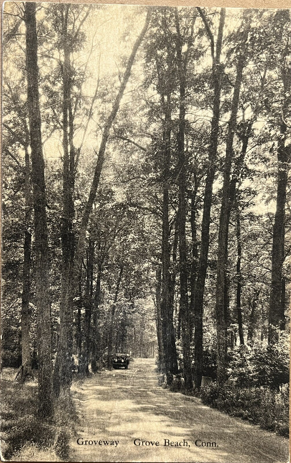 Grove Beach Conneticut Old Car Groveway Road Forest Vintage Photo Postcard c1910