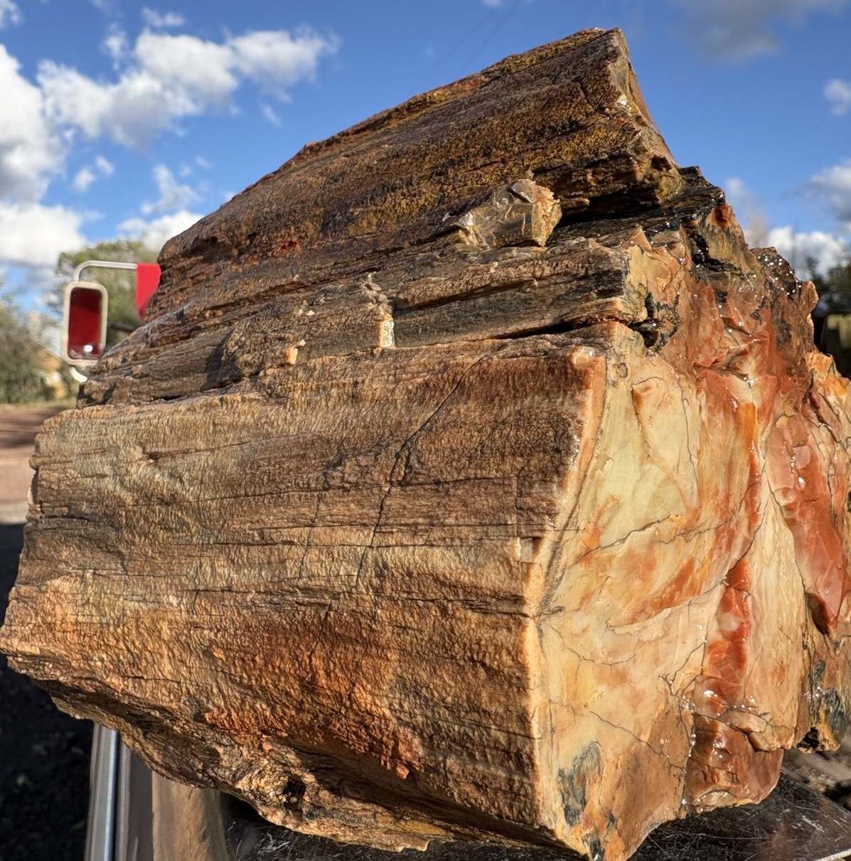 ☘️RR⛏️: Top Quality Arizona Rainbow Petrified Wood 10.75 Lb 🌈