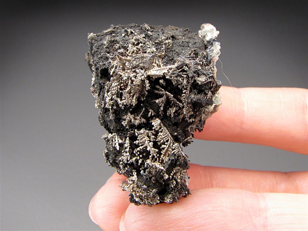 Native Silver, Marienberg District, Erzgebirge, Saxony, Germany