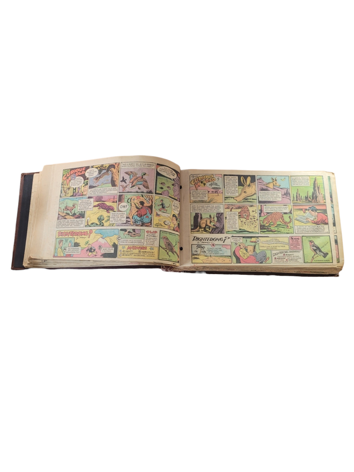 newspaper ad comic strip THE CURIOUS WORLD 40s 50s over 300 Strips in book RARE