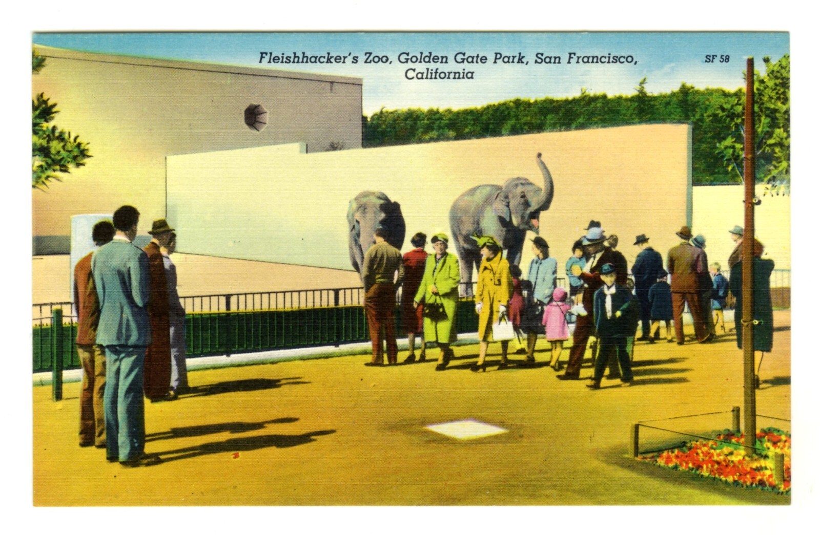 c.1930s SAN FRANCISCO FLEISHHACKER ZOO ELEPHANT SECTION w/CROWD~VINTAGE POSTCARD