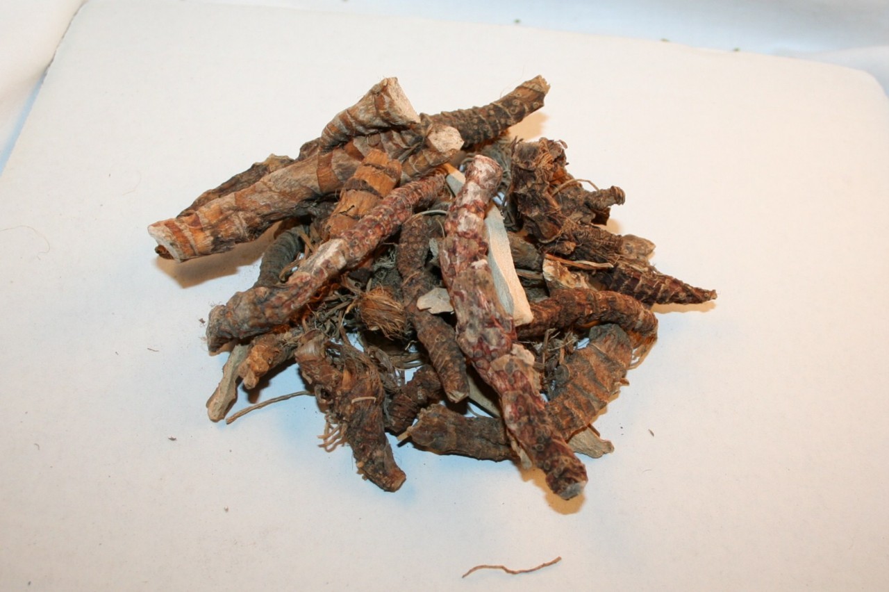 BITTERROOT Herb Organic Botanical 1 Ounce Bag Bitter Root Smudge Sage