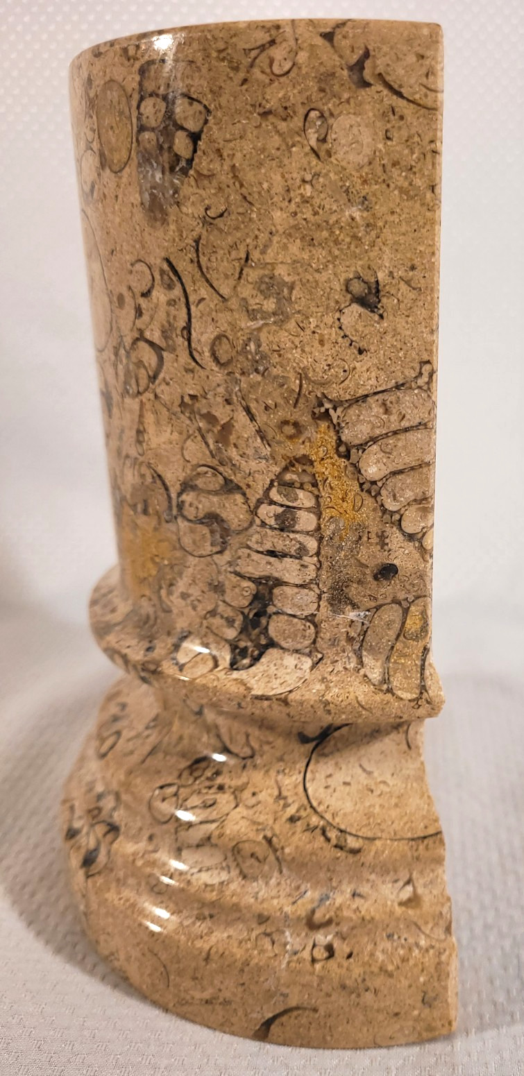 7” Polished Coquina Stone Fossilized Gastropod Shell Column Bookend Pakistan