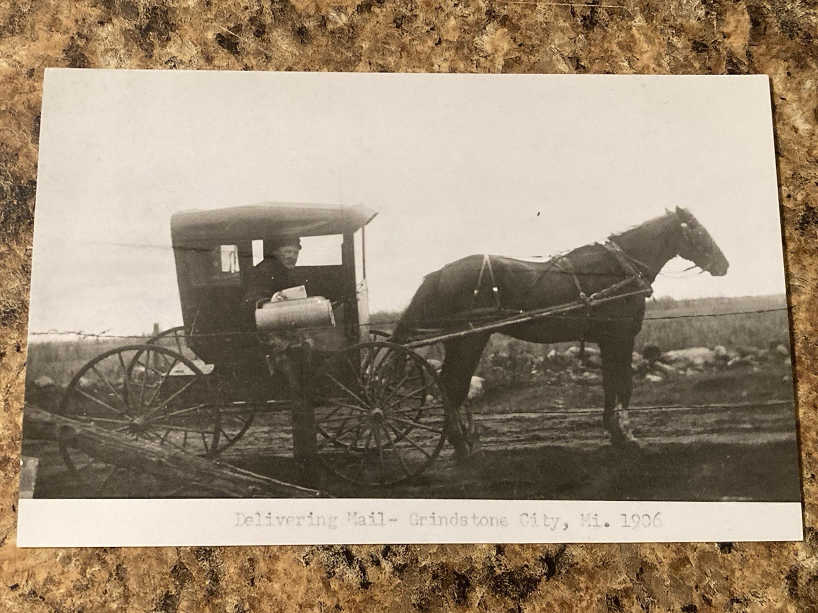 C. 1906 Grindstone City, MI Horse-Drawn Postal RFD Mail Wagon RPPC Postcard