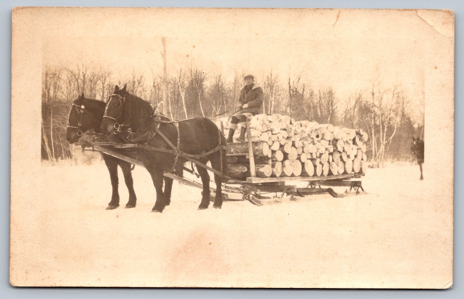 c1910 RPPC man on horse pulled wagon laden w/ big logs JOSEPH GROVER identified