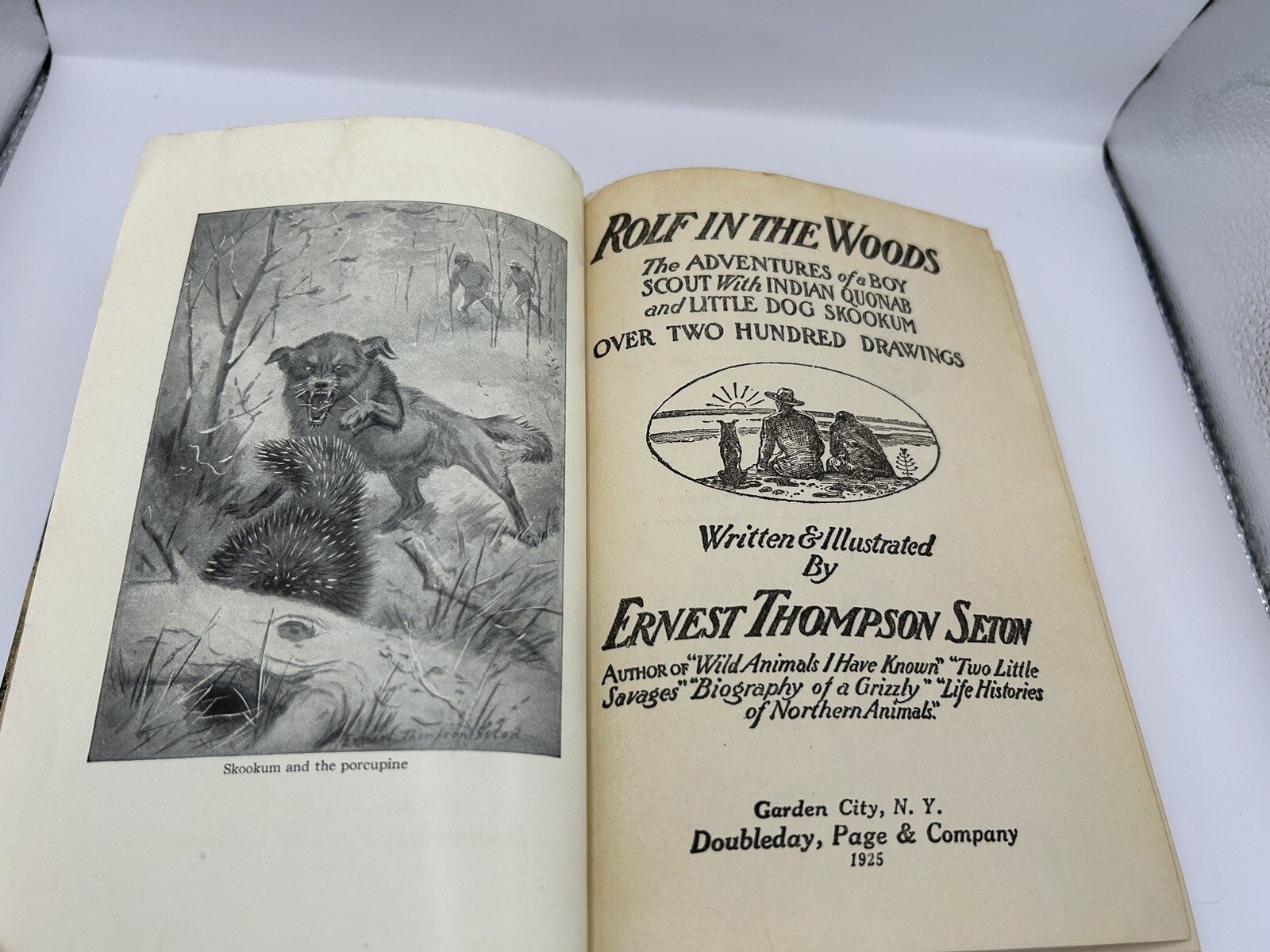 Wolf in the Woods,1925 The Adventures of a BoyScout-Indian Quonab, 200+ Drawings