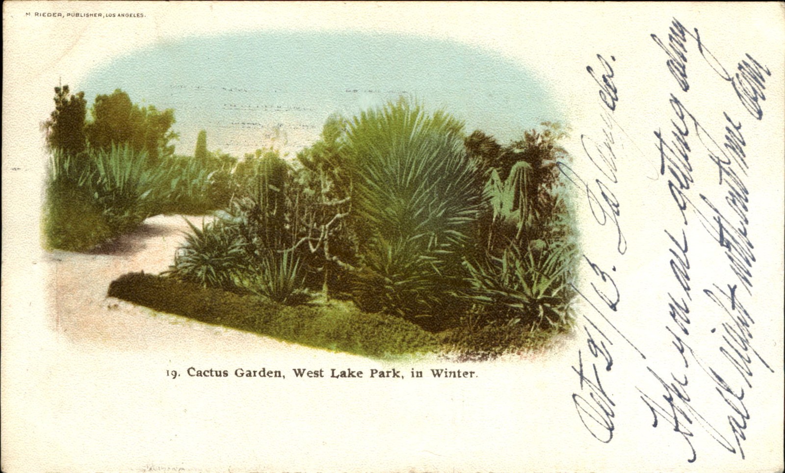 Cactus Garden ~ West Lake Park in Winter ~ Los Angeles California ~ UDB 1903