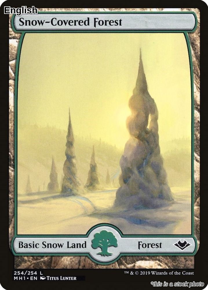 Snow-Covered Forest Normal [MH1 - 254]EN