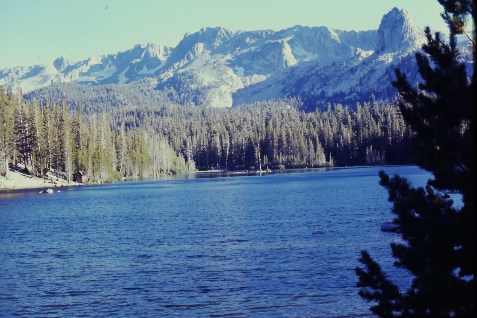 c1960's Kodachrome 35mm Slide, Sierra Nevada Mountains Lake Pine Trees alpine