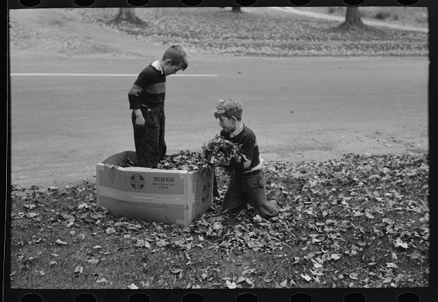 Photo:Bradford Vermont 1940s Boys Raking Leaves Farmyard