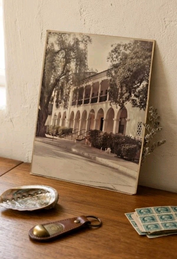 Vintage 1960s City Hall Photo Building Colonial Revival California USA Landscape