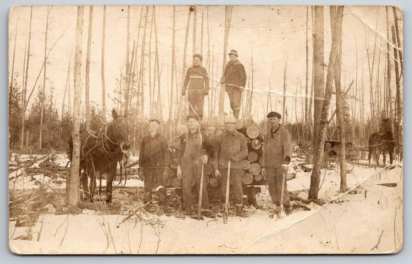 RPPC Maywood MI Logging Loggers Lumberjacks Horse Wagon Snow Boys Men Postcard