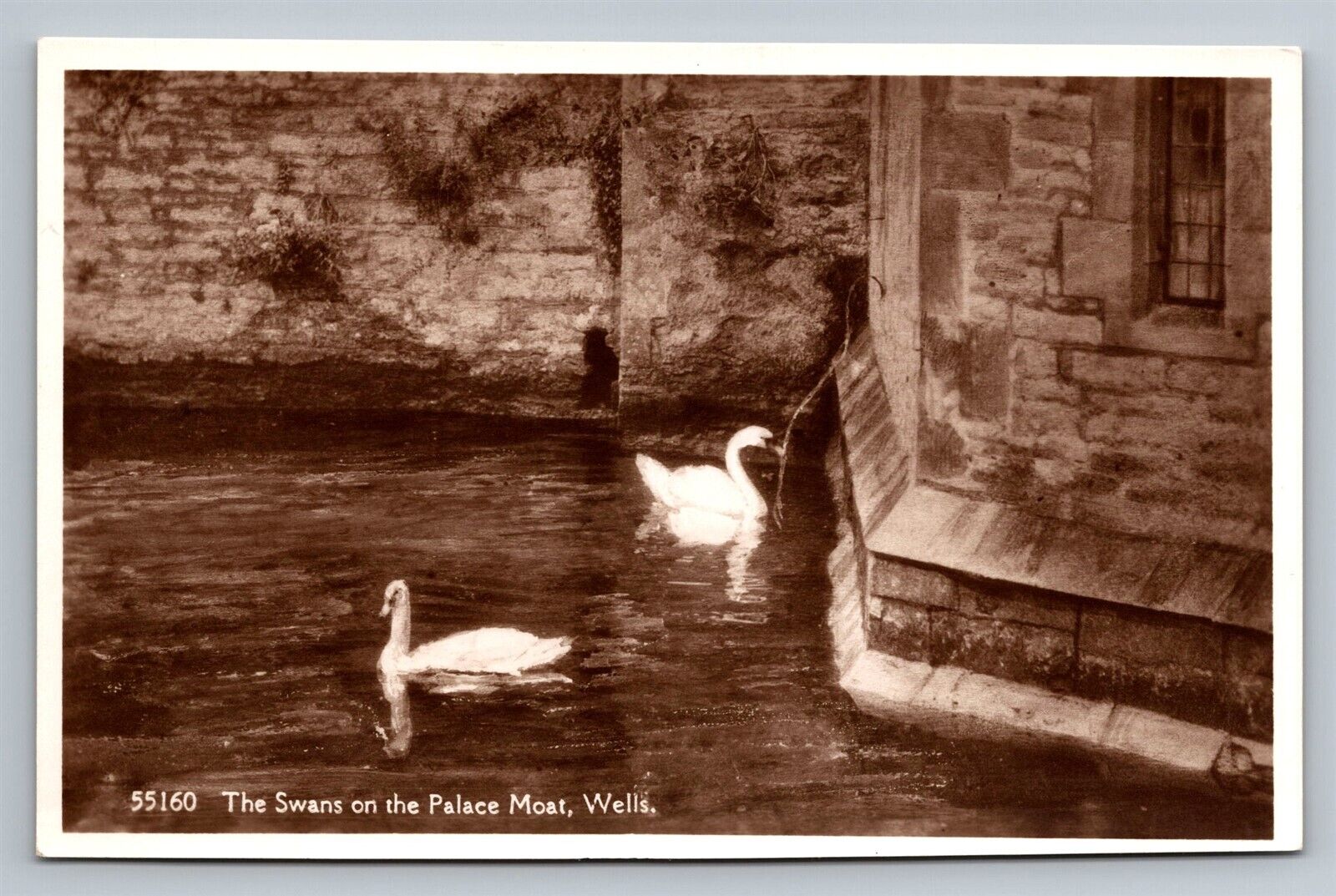 RPPC UK Wells The Bishop\'s Palace Moat Swans Vtg Real Photo Postcard View Unused