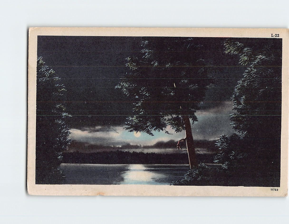Postcard Moonlight Over the Lake Scene