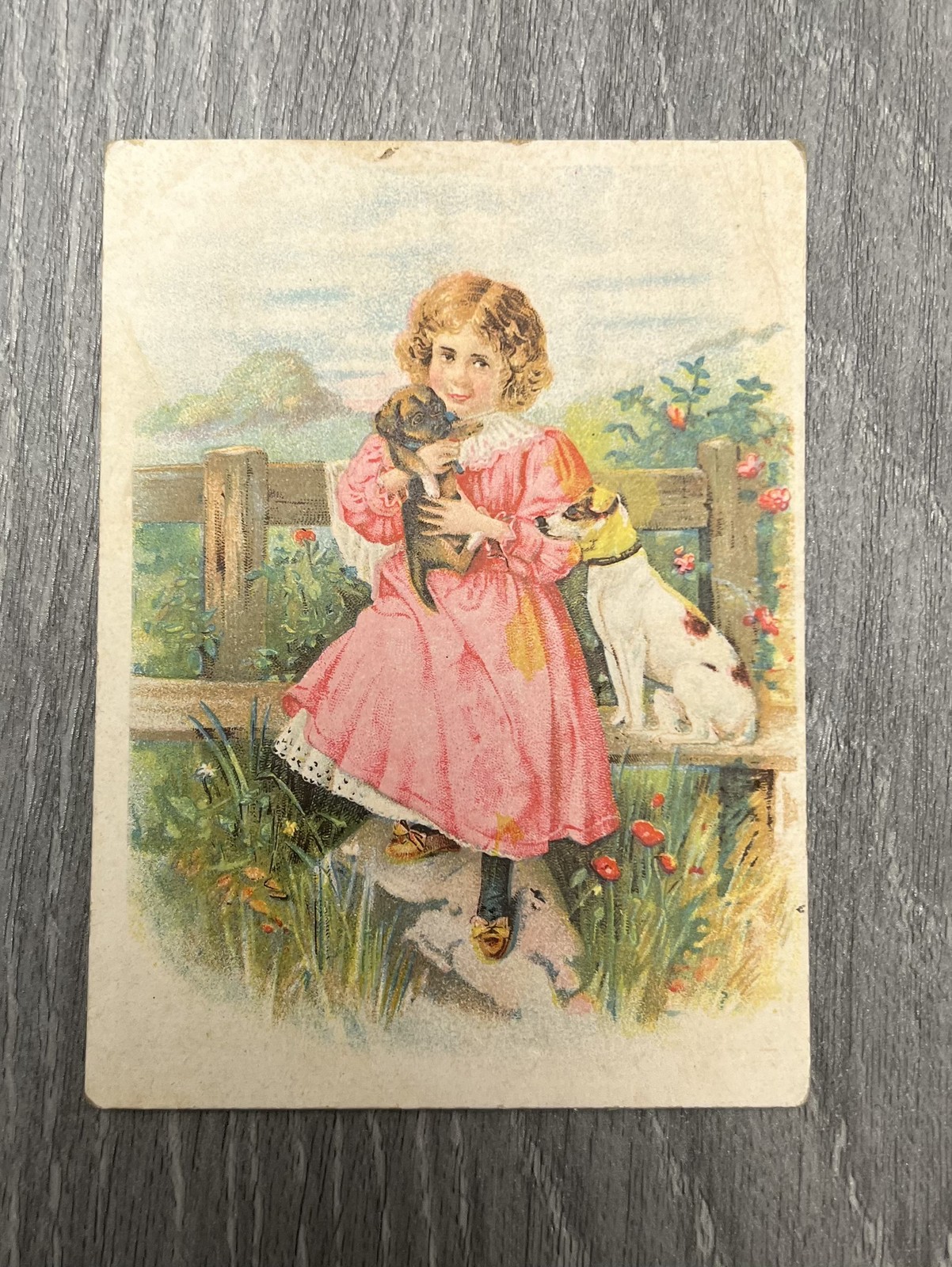 Vtg Victorian Edwardian Postcard Girl with Puppies & Dog Fence Scene Pastoral
