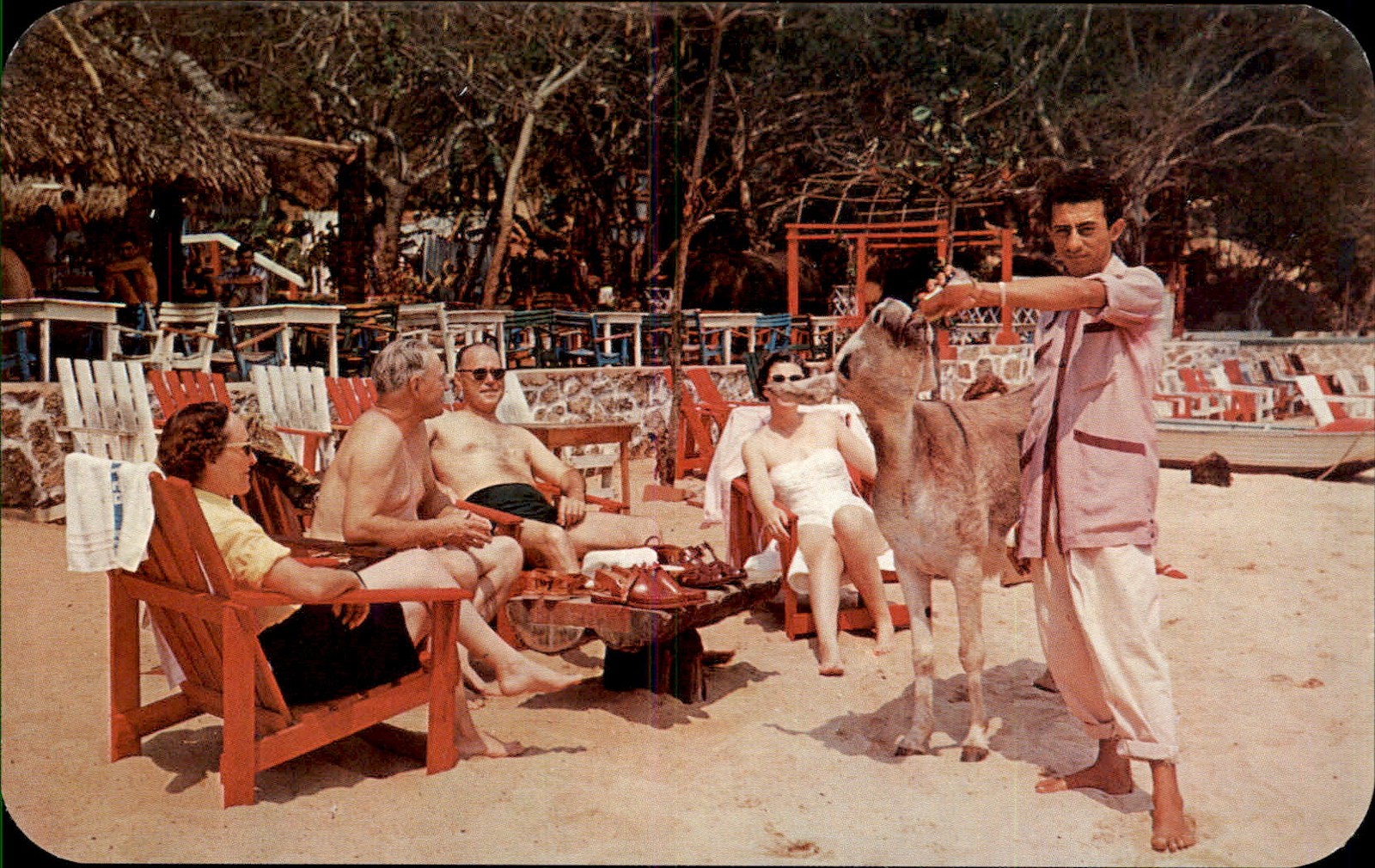 Acapulco Guerrero Beer Drinking Burro Foto-Arte c1950s-60s Vintage Postcard