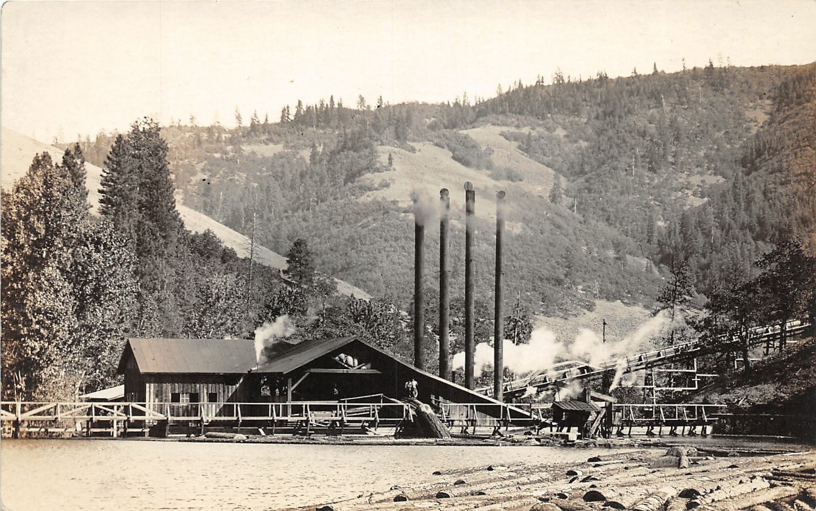 H94/ Occupational RPPC Postcard c1910 Sawmill Logging Operation 135