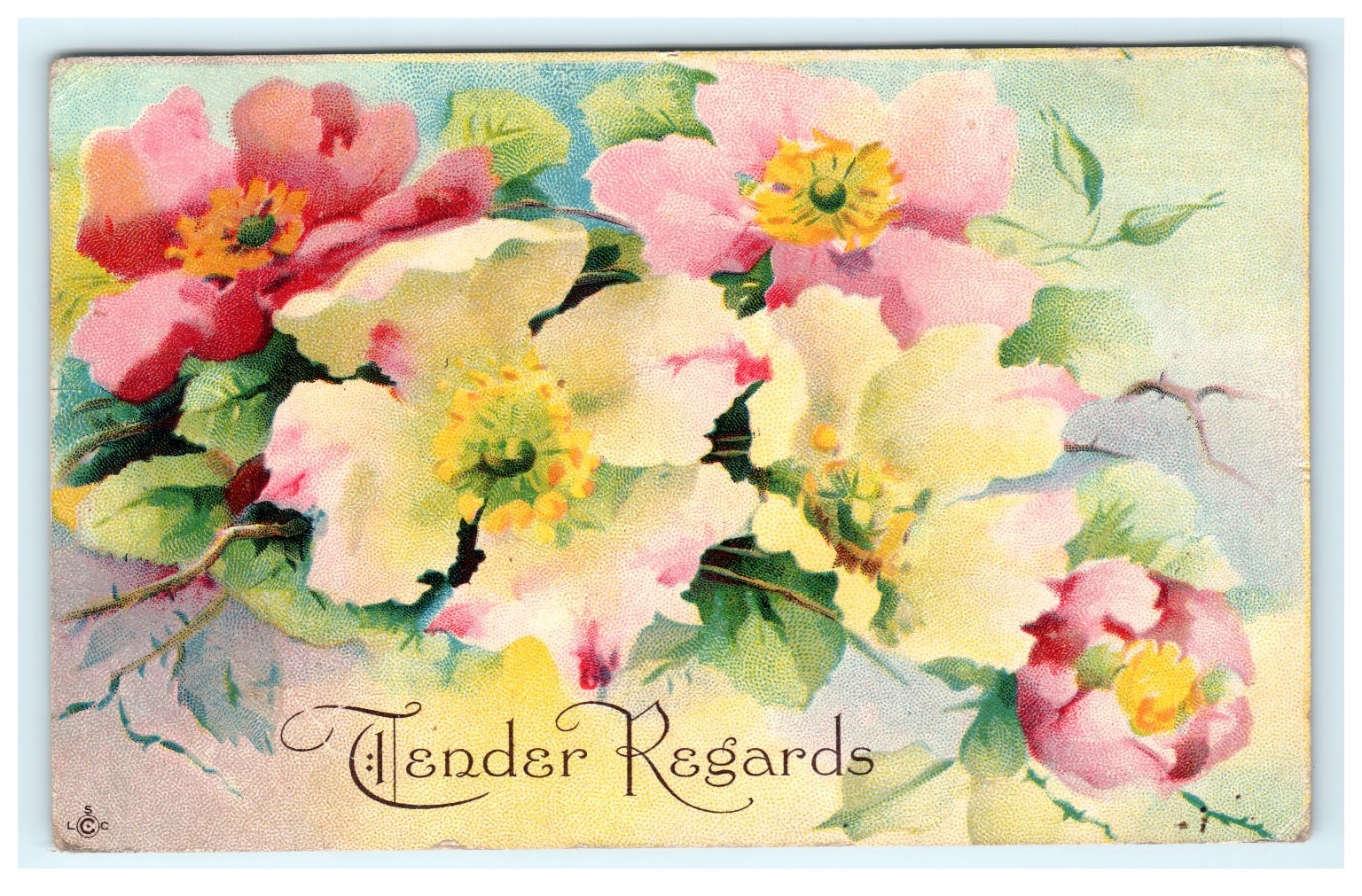 Vintage Tender Regards Floral Postcard Cuba MO 1916 Wild Roses L.c.c.