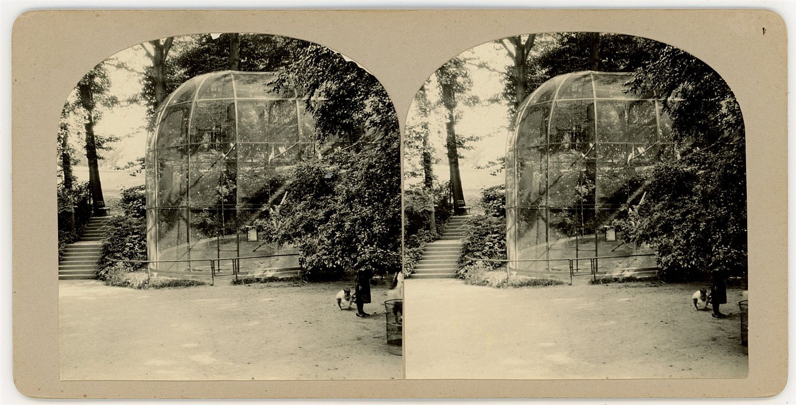 WASHINGTON DC STEREOVIEW - Cage in National Zoo - RARE AMATEUR c1928