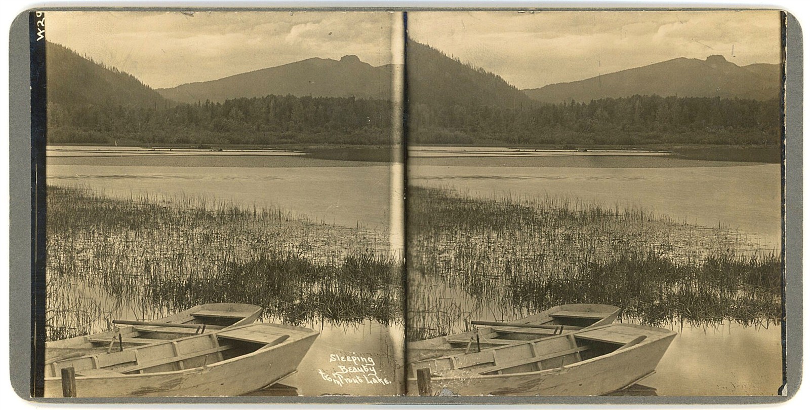 WASHINGTON STEREOVIEW - Sleeping Beauty from Trout Lake - Frank Patterson 1910s