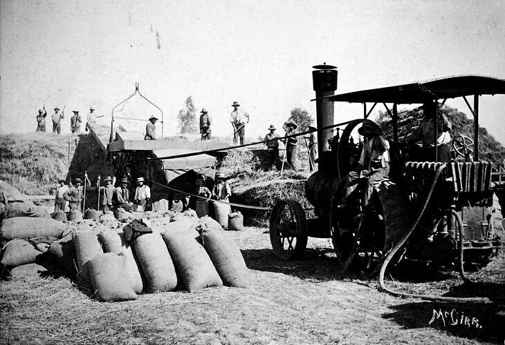 Wangaratta District Victoria 1915 Thresher in operation Old Photo