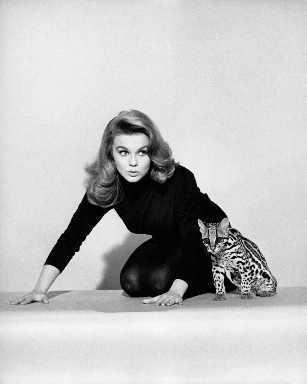 ANN-MARGRET PRINTS AND POSTERS 101766