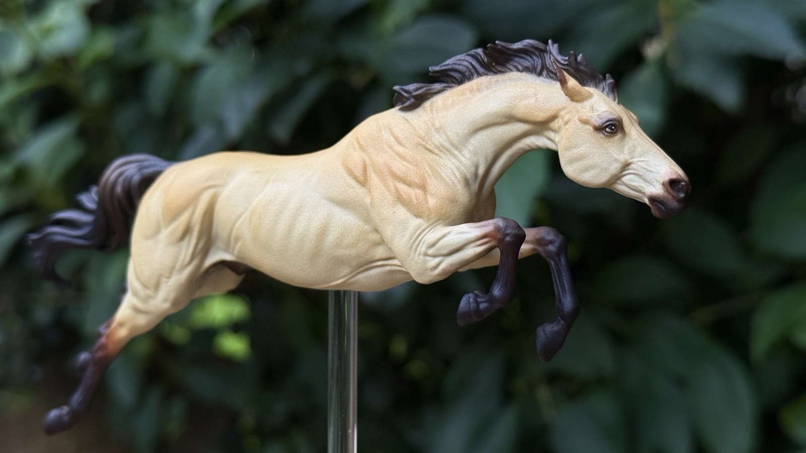 Custom resin model horse 3D print Morvan