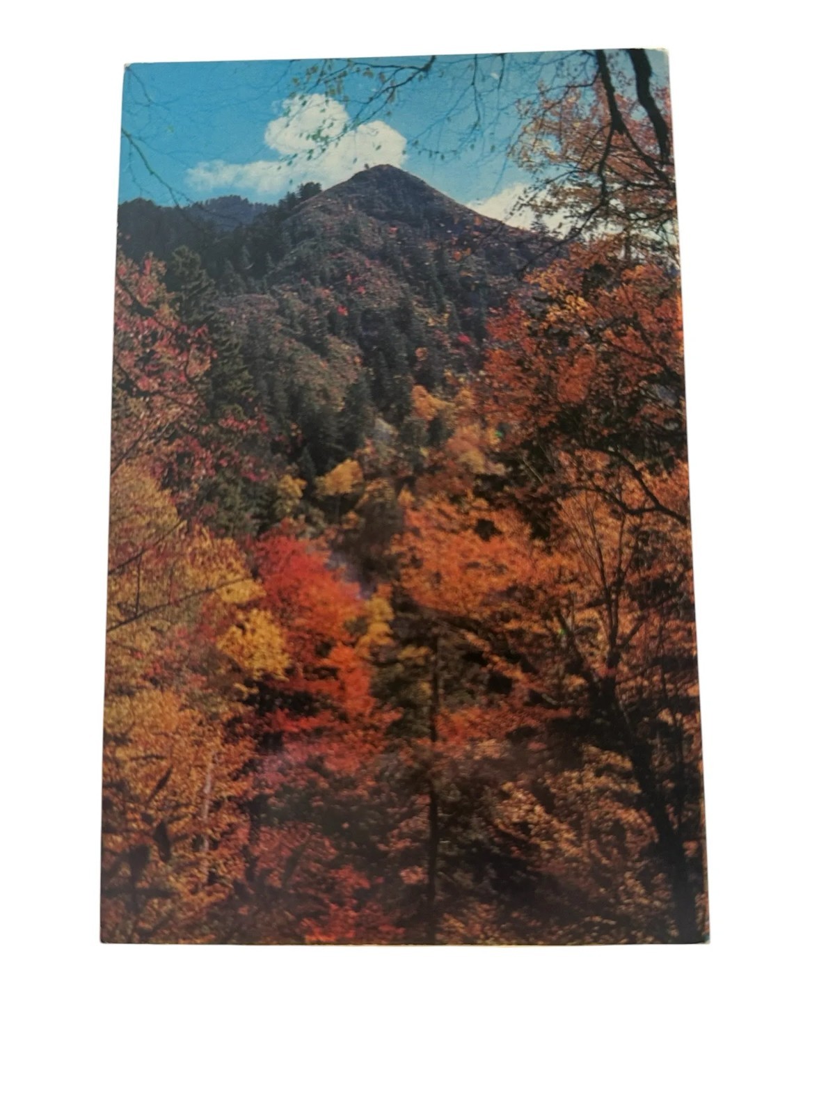 Postcard Fall Color Scene Heart Of Great Smoky Mountains National Park
