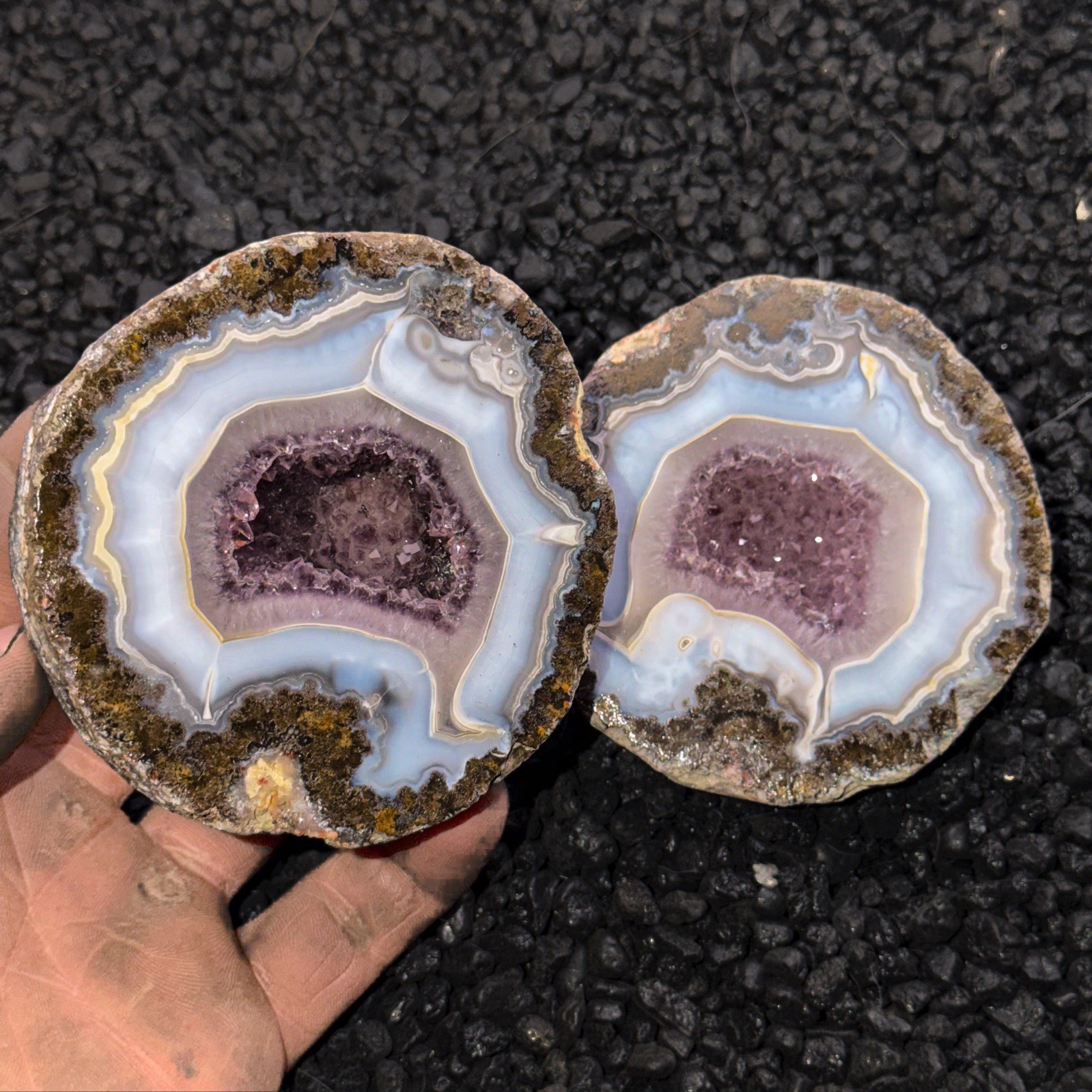 Killer Banded Amethyst Geode Las Choyas Coconut Geode Rare Top Shelf Pair Mexico Killer Banded Amethyst Geode Las Choyas Coconut Geode Rare Top Shelf Pair Mexico