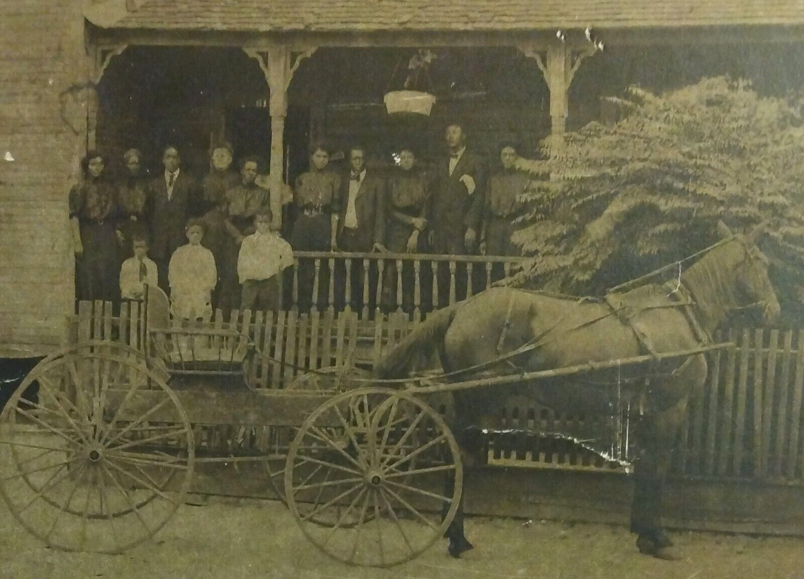 Original C. 1900 African American Family Homestead Photograph w/ Horse & Buggy