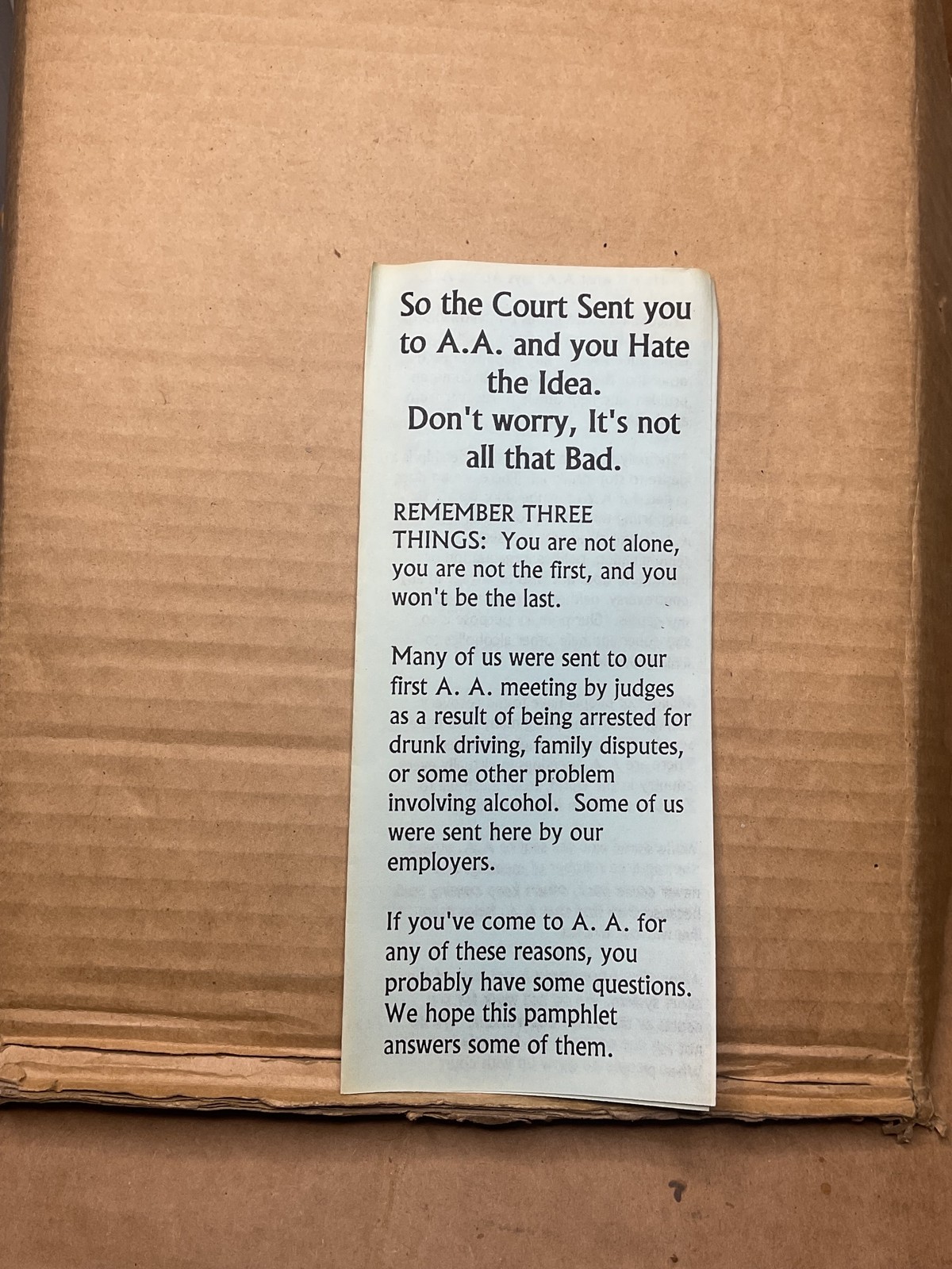 VTG Alcoholics Anonymous Pamphlet AA Court Sent Support Brochure Charlotte NC