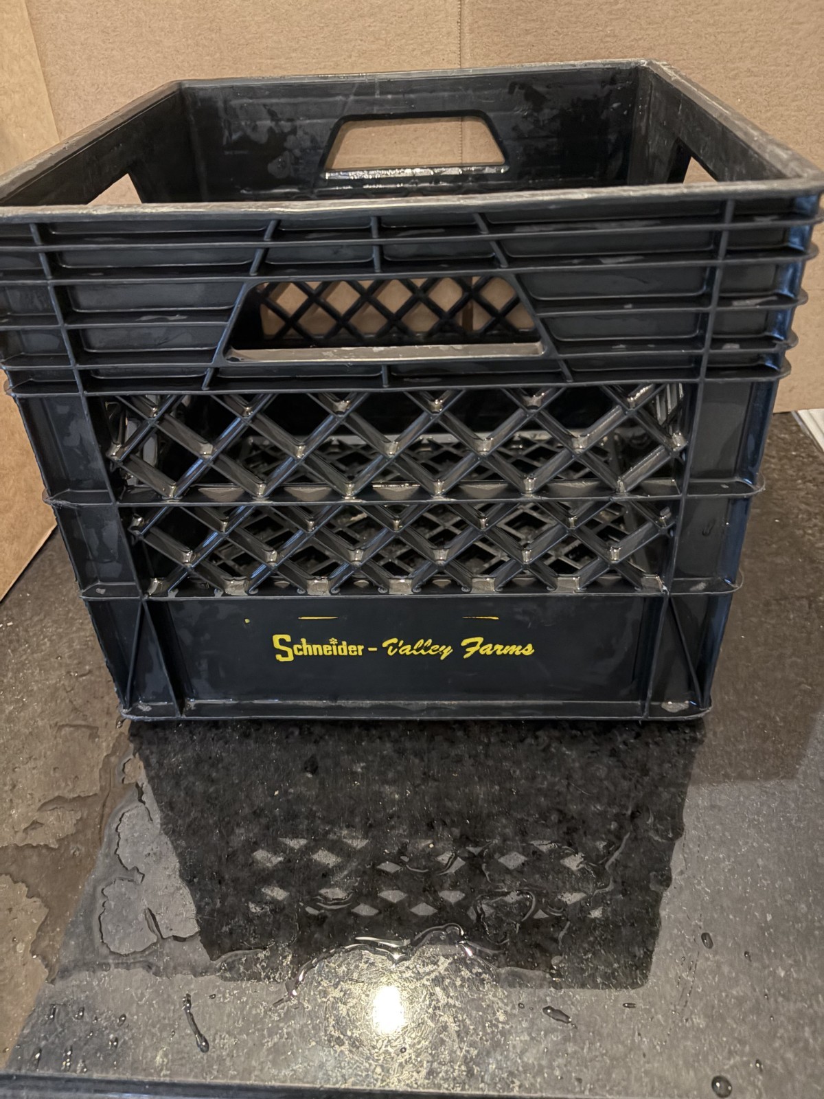 Vintage Schneider Dairy Farms Black Plastic Milk Crate 10x13 Farmhouse Storage