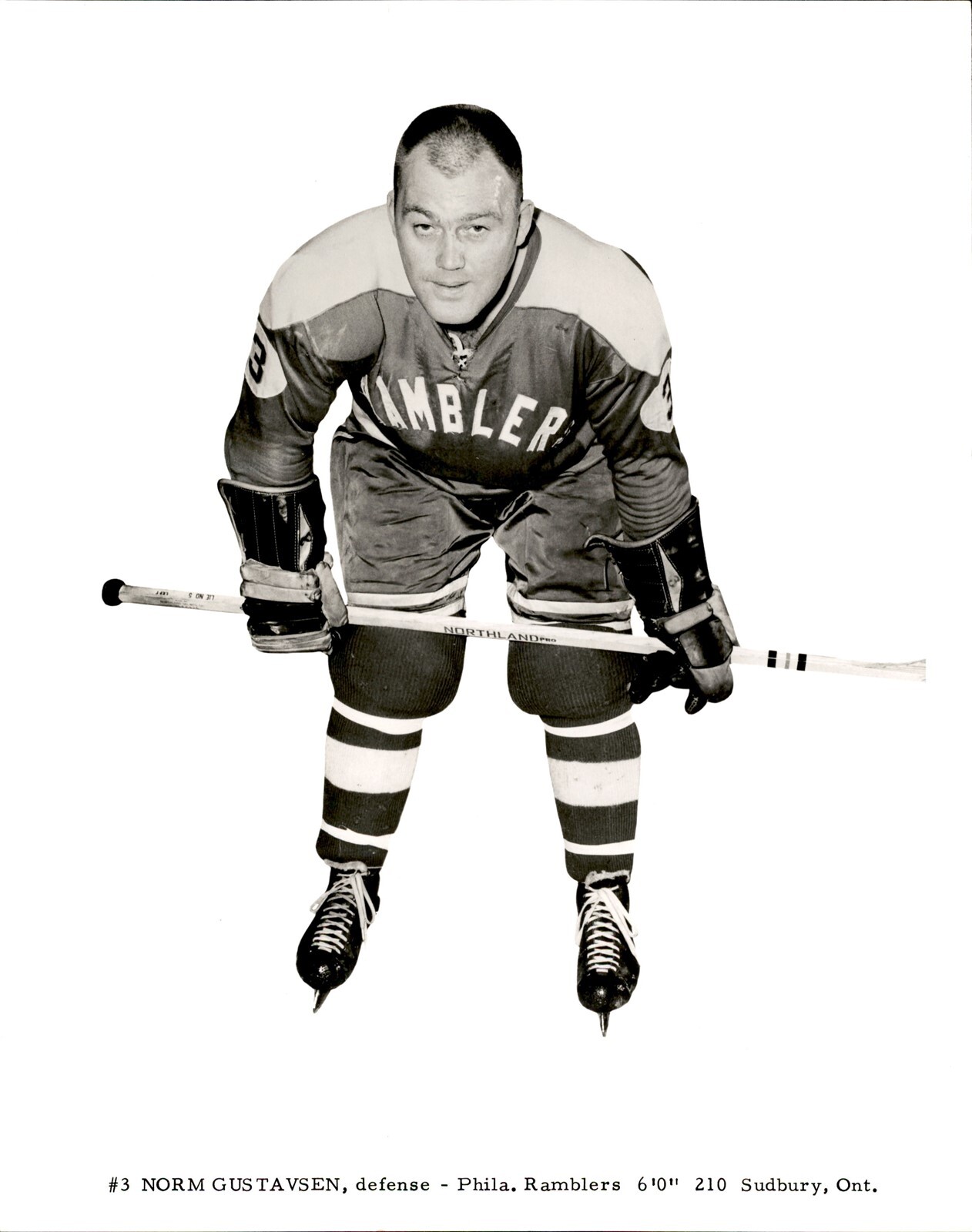 PF2 Orig Photo NORM GUSTAVSEN 1959-62 PHILADELPHIA RAMBLERS EHL HOCKEY DEFENSE